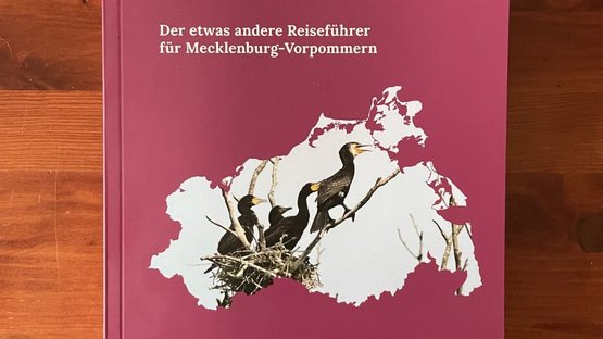 Die Abbildung zeigt den Neuen, etwas anderen Reiseführer des Heimatverbandes Mecklenburg-Vorpommern. Zu erhalten für 6,-€ Aufwandspauschale unter der e-mail Adresse geschaeftsstelle(@)heimatverband-mv.de mit Angabe der Menge sowie der Adresse.